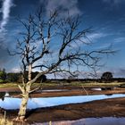 Naturschutzgebiet an der Birk