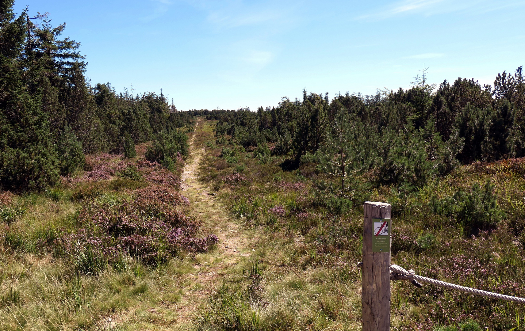 Naturschutzgebiet auf dem Ruhestein