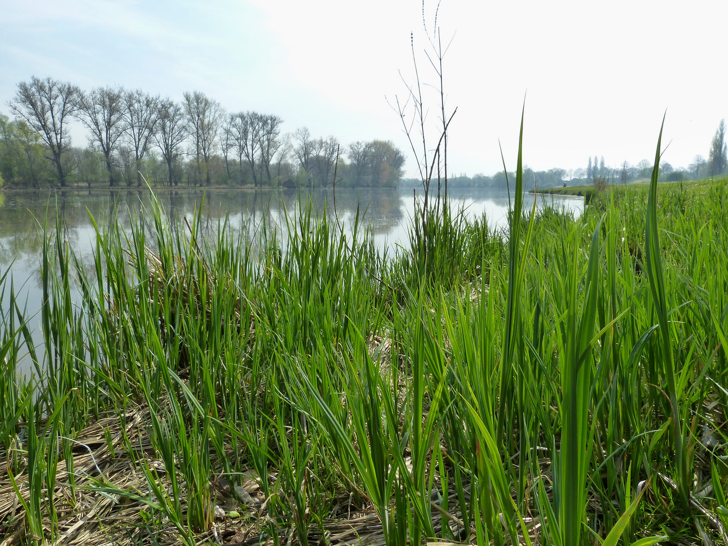 Naturschutzgebiet