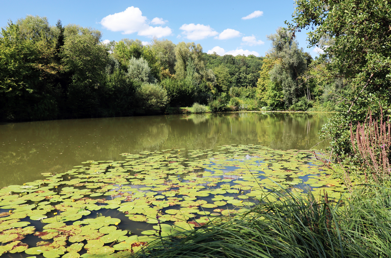 Naturschutzgebiet