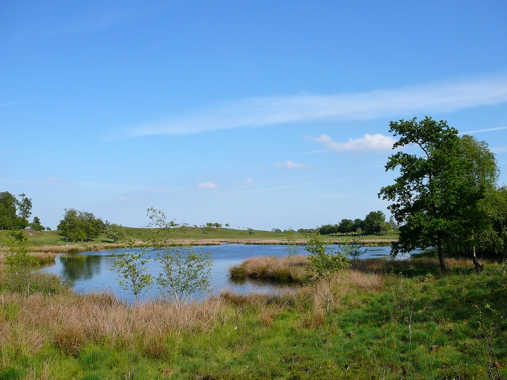 Naturschutzgebiet bei Juhlschau