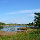 Naturschutzgebiet bei Juhlschau