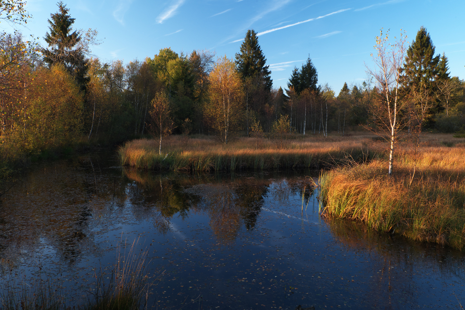 Naturschutzgebiet bei Mützenich