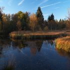Naturschutzgebiet bei Mützenich