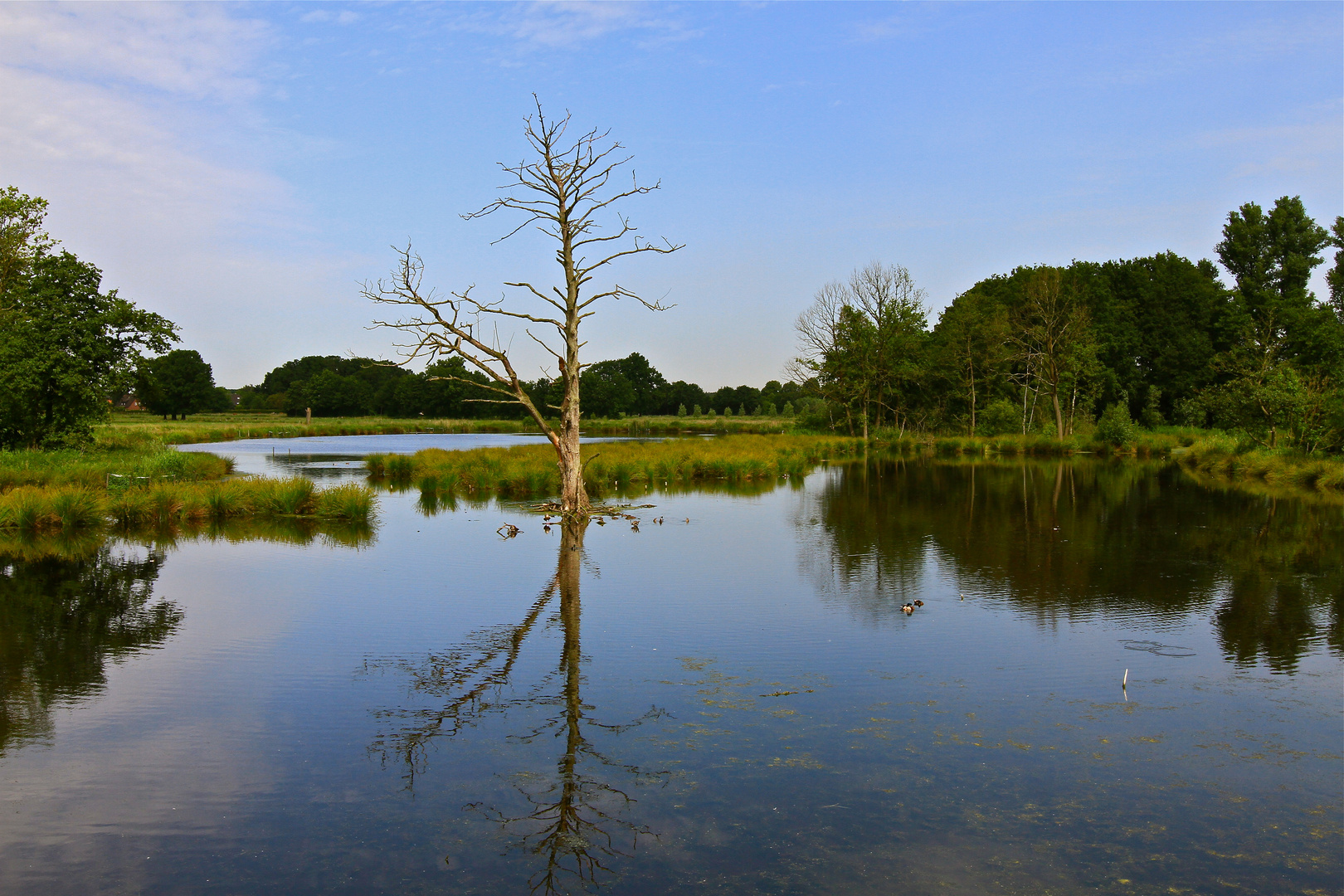 Naturschutzgebiet bei Nettetal