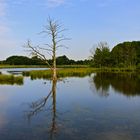 Naturschutzgebiet bei Nettetal