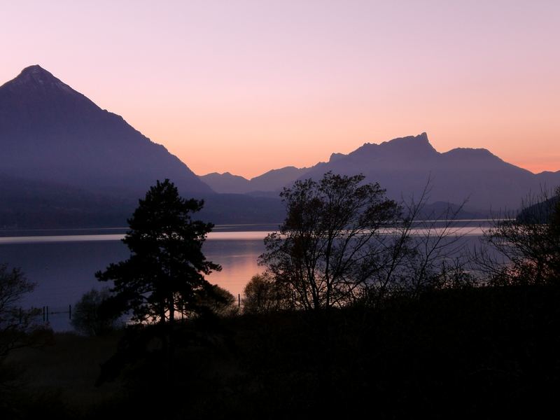 Naturschutzgebiet beim Thuner See (Interlaken/Schweiz)