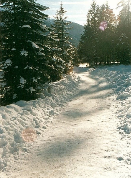 Naturschutzgebiet Berchtesgardener Land