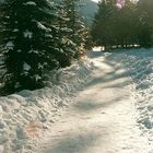 Naturschutzgebiet Berchtesgardener Land