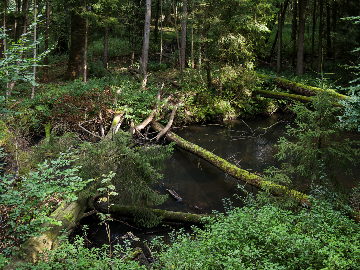 Naturschutzgebiet Billetal