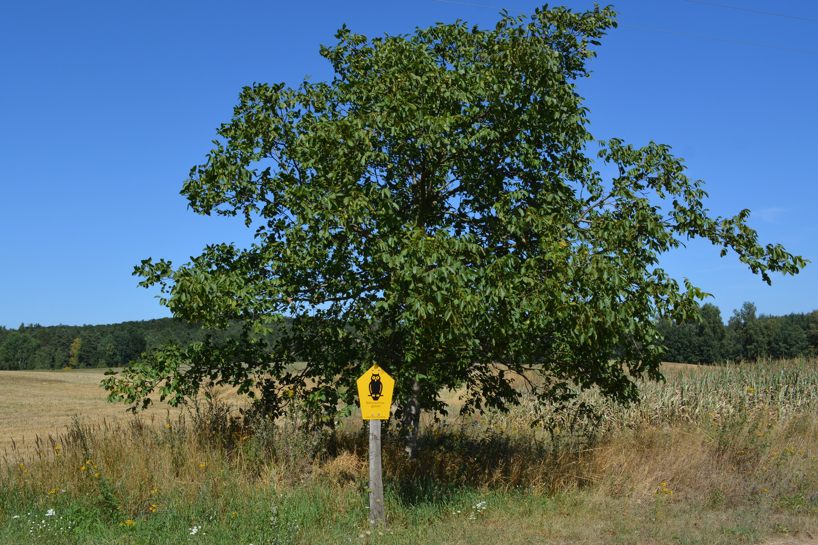 Naturschutzgebiet Biosphärereservat Schorfheide