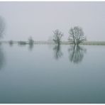 Naturschutzgebiet Bislicher Insel ... 02