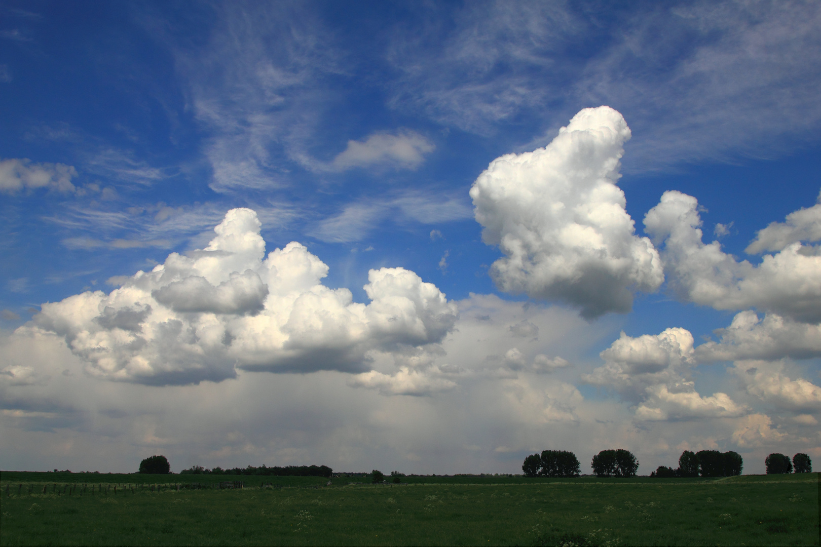 Naturschutzgebiet "Bislicher Insel"