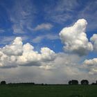 Naturschutzgebiet "Bislicher Insel"