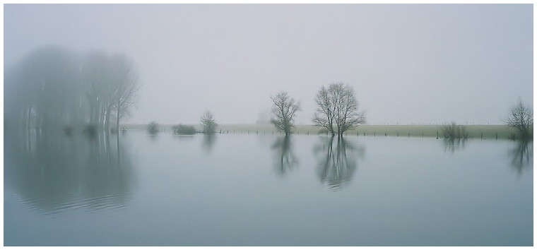 Naturschutzgebiet Bislicher Insel ...