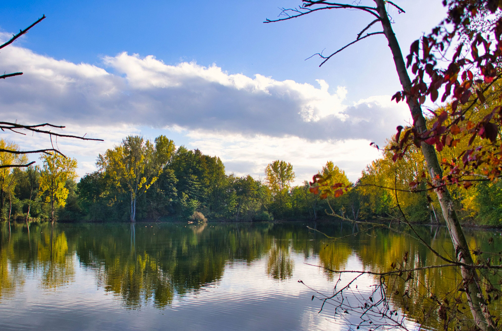 Naturschutzgebiet Bislicher Insel im Herbst.