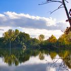 Naturschutzgebiet Bislicher Insel im Herbst.