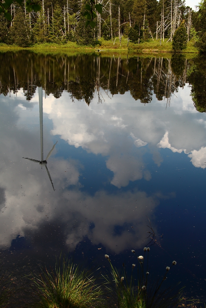 Naturschutzgebiet Blindensee