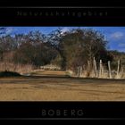Naturschutzgebiet - Boberg