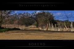 Naturschutzgebiet - Boberg