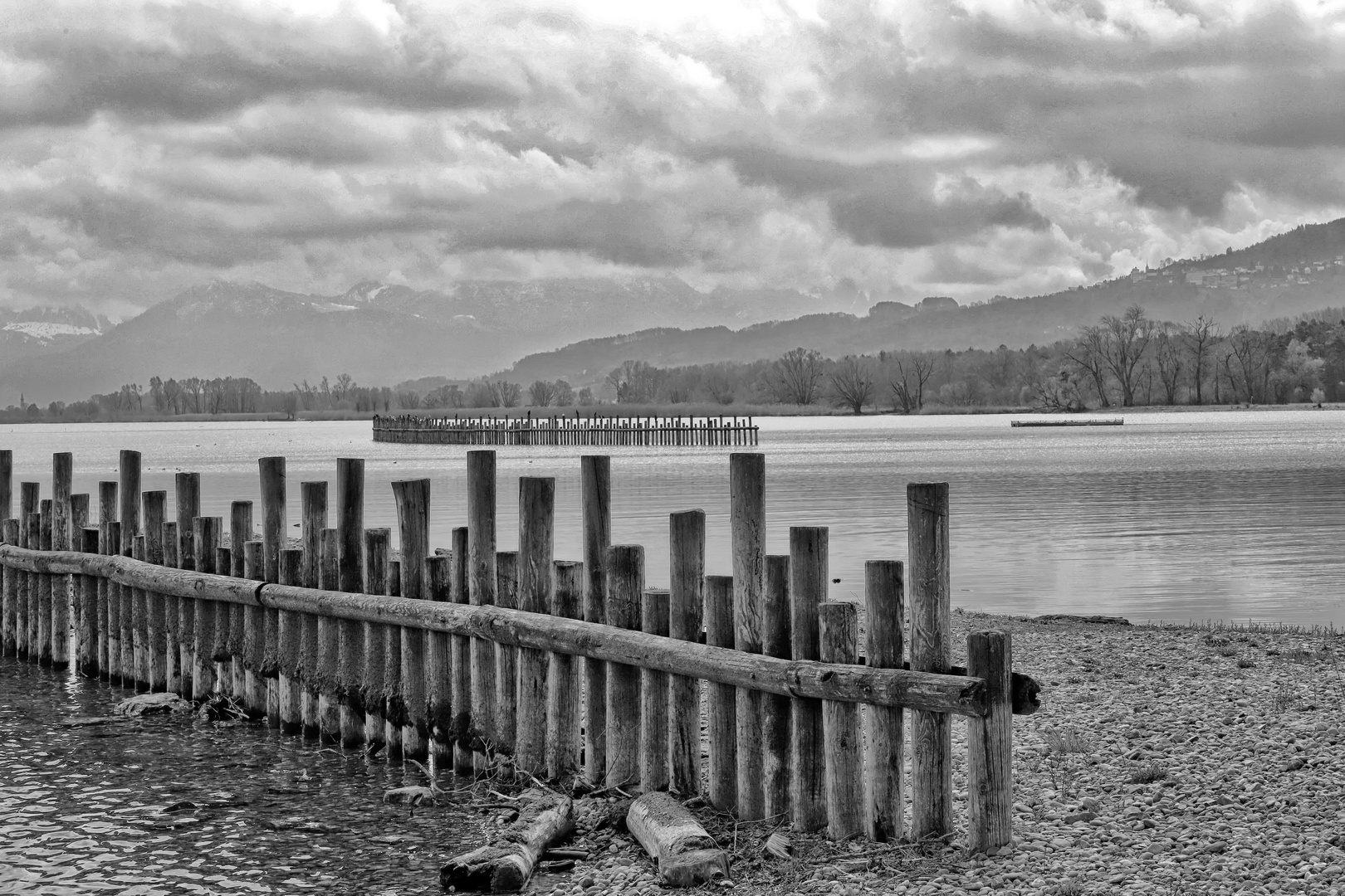 Naturschutzgebiet Bodensee bei Fussach.