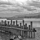 Naturschutzgebiet Bodensee bei Fussach.