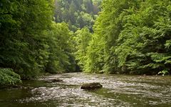 Naturschutzgebiet Bodetal