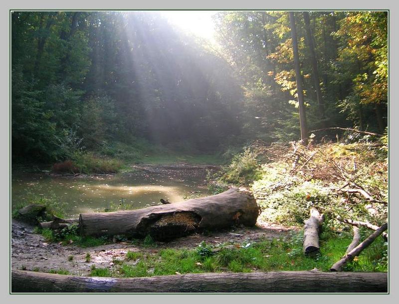 Naturschutzgebiet Bolmke