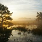 Naturschutzgebiet Bordelumer Heide, Nordfriesland, Germany