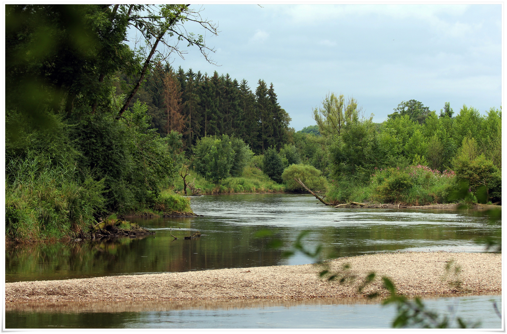 Naturschutzgebiet Braunsel