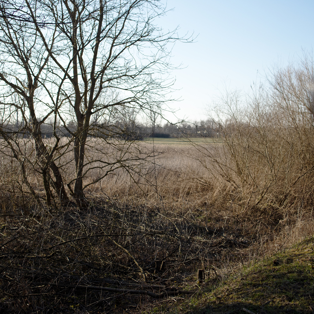 Naturschutzgebiet Bruch bei Stettfeld