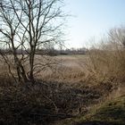 Naturschutzgebiet Bruch bei Stettfeld