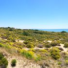 Naturschutzgebiet Carbopino, Marbella/Andalusien