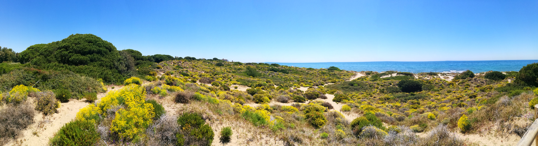 Naturschutzgebiet Carbopino, Marbella/Andalusien