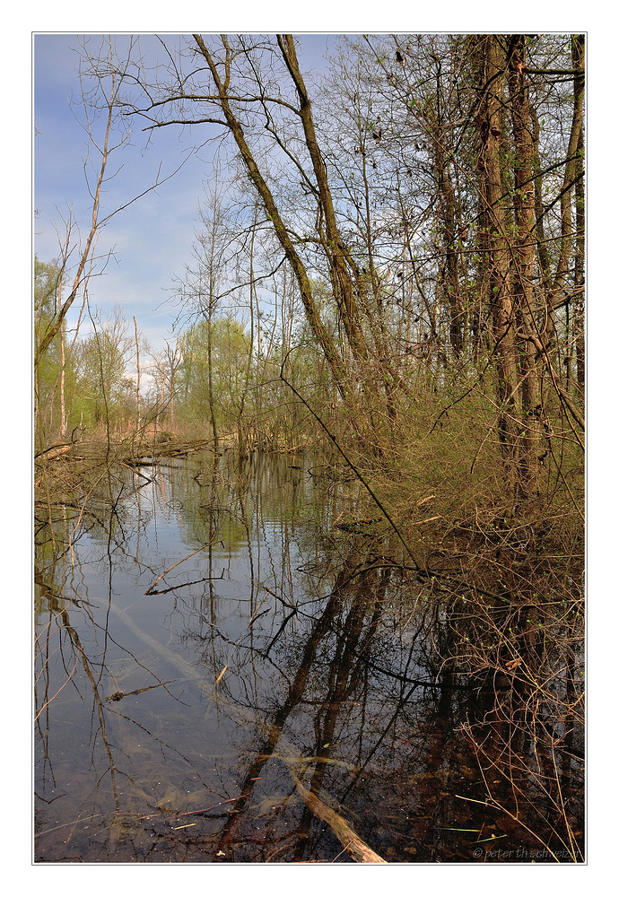 Naturschutzgebiet Foto & Bild landschaft, lebensräume, natur Bilder