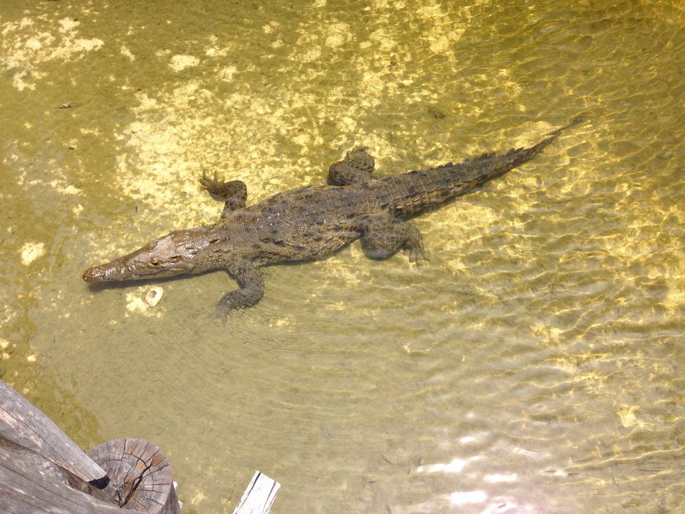 Naturschutzgebiet Cozumel