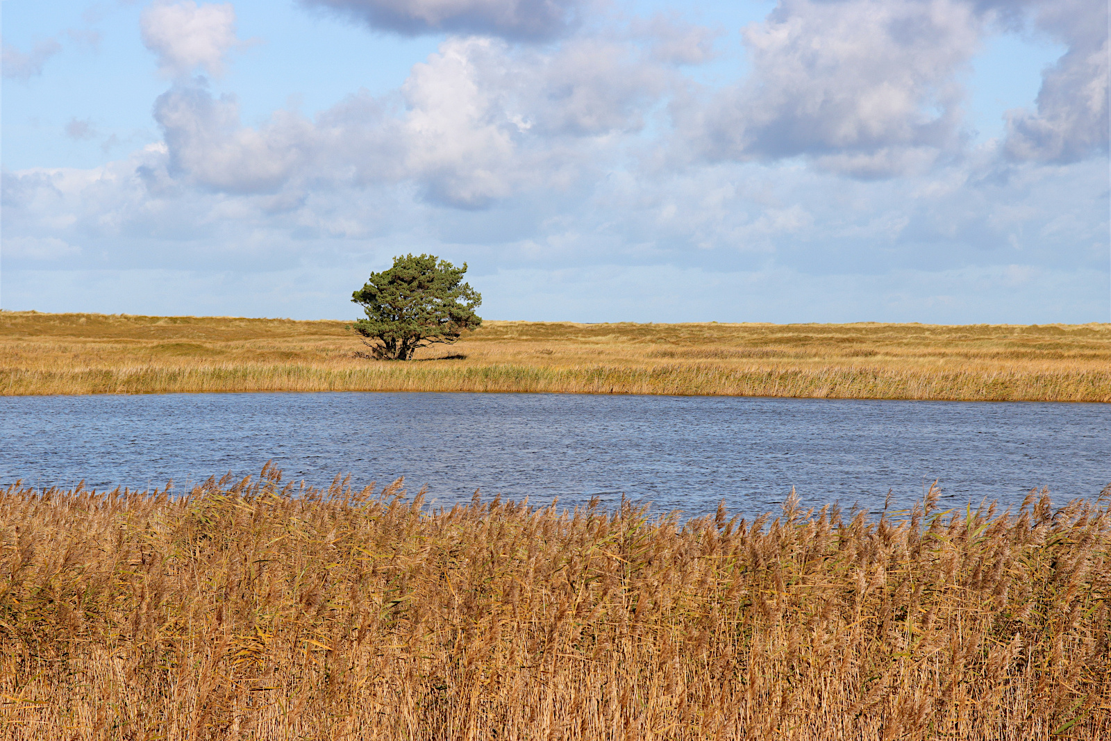 Naturschutzgebiet Darßer Ort