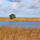 Naturschutzgebiet Darßer Ort