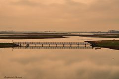 Naturschutzgebiet de shelphoek