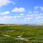 Naturschutzgebiet De Slufter (Texel)