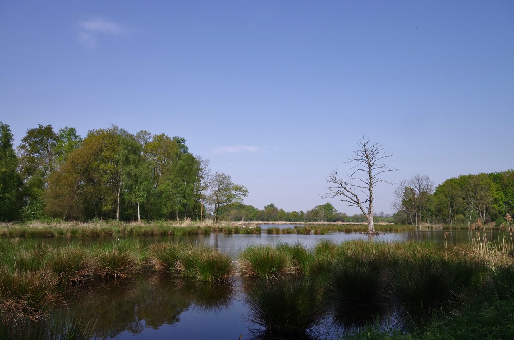Naturschutzgebiet de Witt See