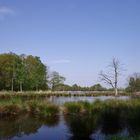 Naturschutzgebiet de Witt See