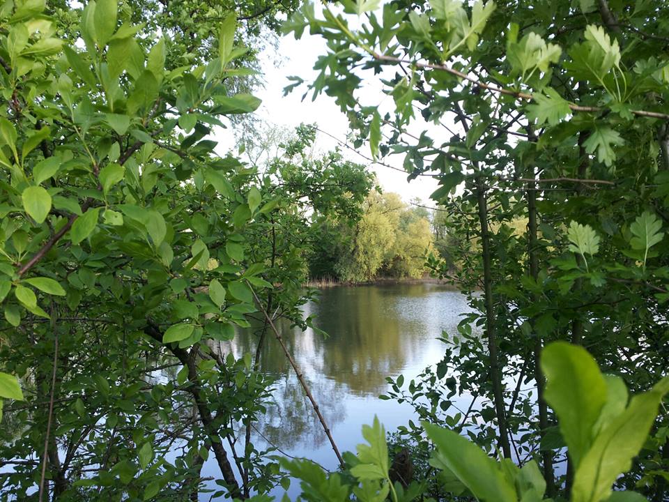 Naturschutzgebiet - die grüne Lagune ; )