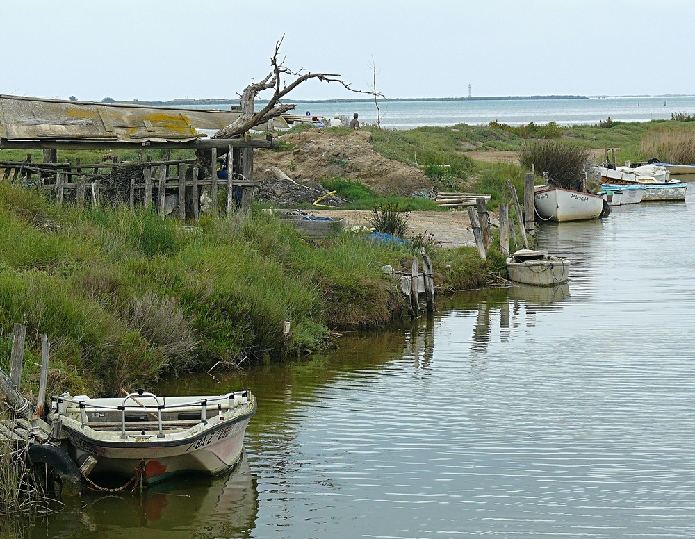 Naturschutzgebiet Ebro Delta in Katalonien