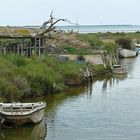 Naturschutzgebiet Ebro Delta in Katalonien