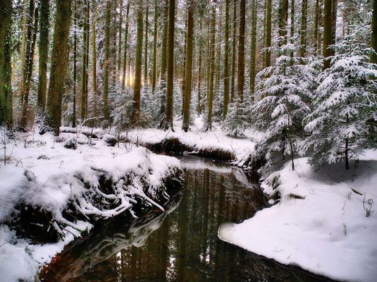 Naturschutzgebiet Eisenbach