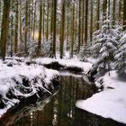 Naturschutzgebiet Eisenbach