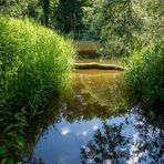 Naturschutzgebiet Eriskircher Ried