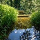 Naturschutzgebiet Eriskircher Ried