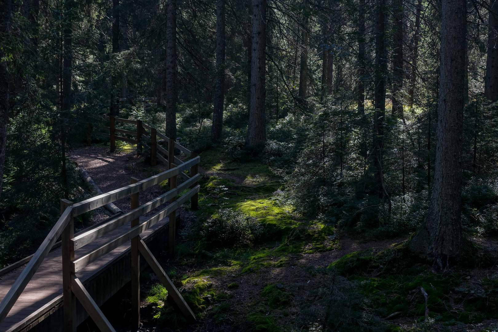 Naturschutzgebiet Etang de la Gruère 